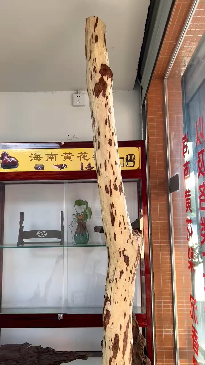 海南黄花梨大木料,适合加工风水柱