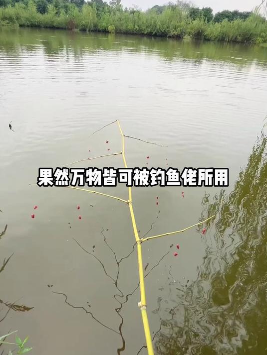 忘记带鱼漂怎么办