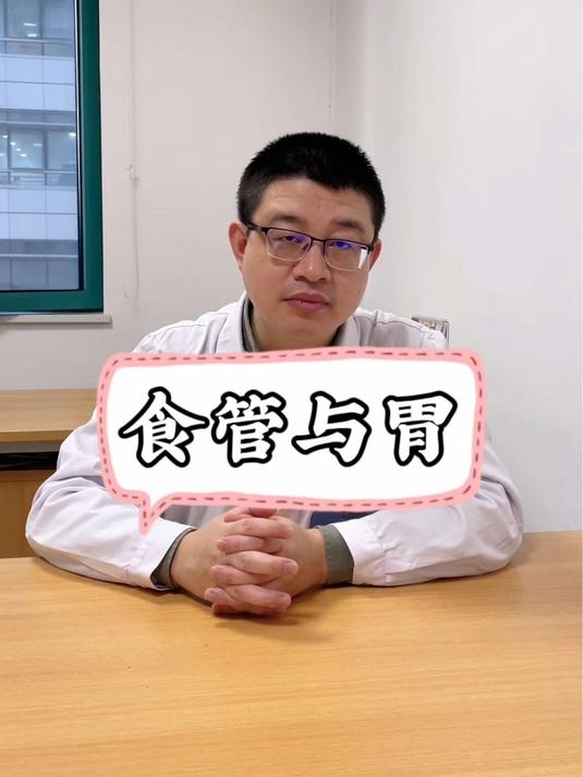 食管与胃的功能有哪些?一起来看看吧