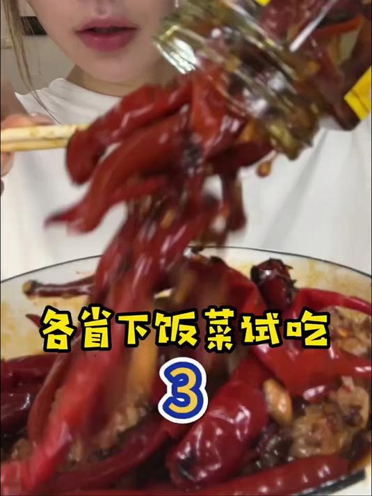 各省下饭菜试吃