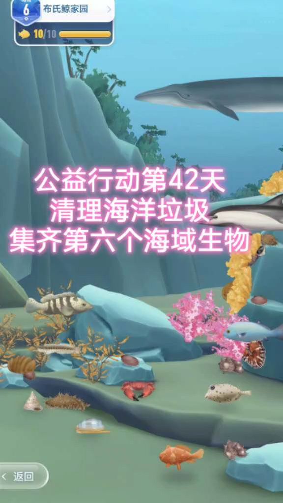 公益行动完成NO.6海域伙伴回家,请欣赏