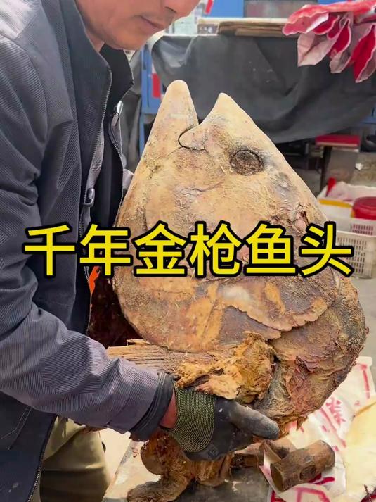 #优质视频激励计划#山东大集千年金枪鱼头