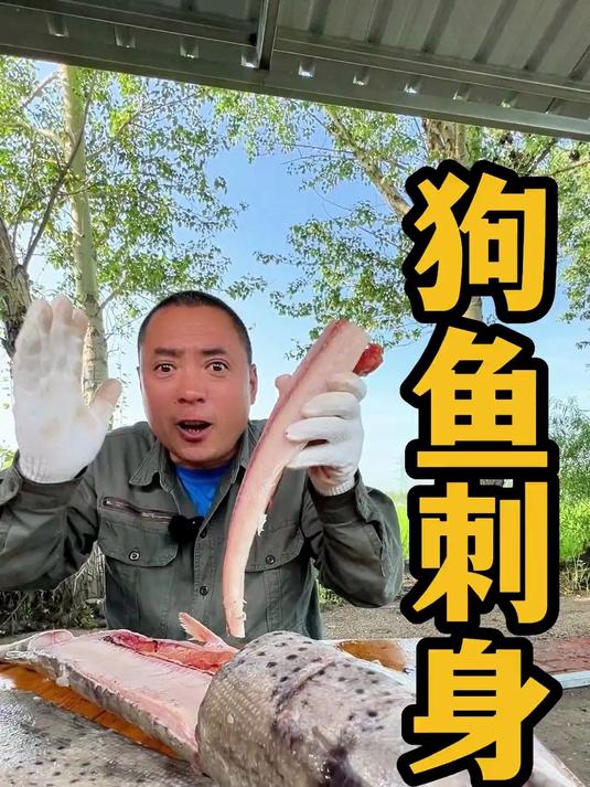 狗鱼刺身