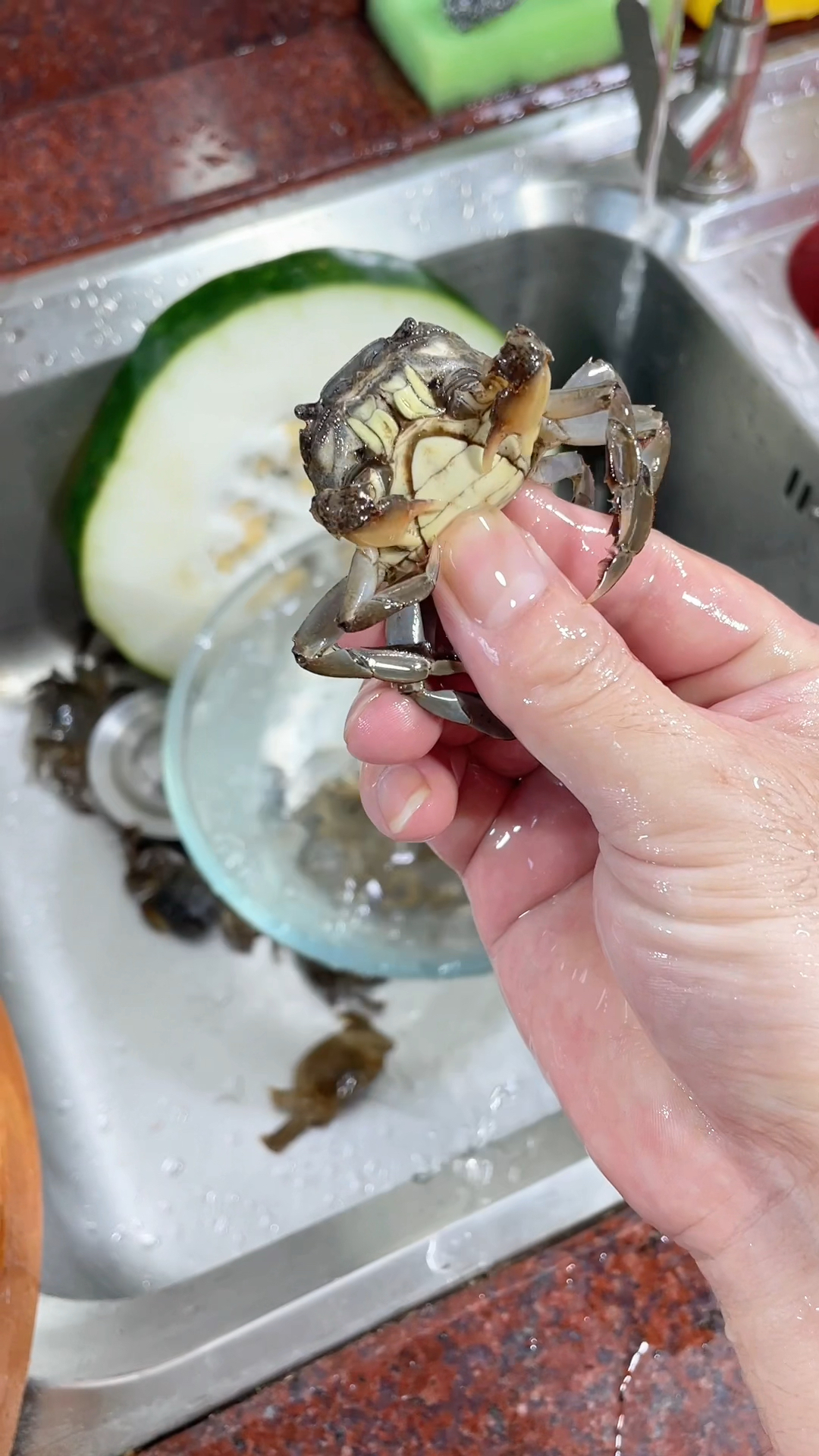 排骨先煮出味,再把冬瓜,处理好的米蟹一起熬,汤鲜味美。