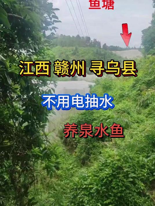 江西赣州寻乌县粉丝安装的水锤泵不用电把水抽到几百米外的鱼塘养殖泉水鱼