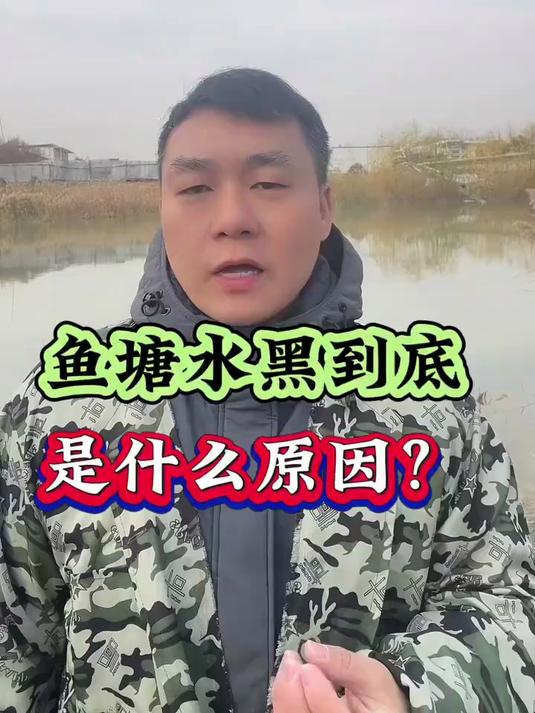 鱼塘水黑到底是什么原因？#水产养殖秘籍#