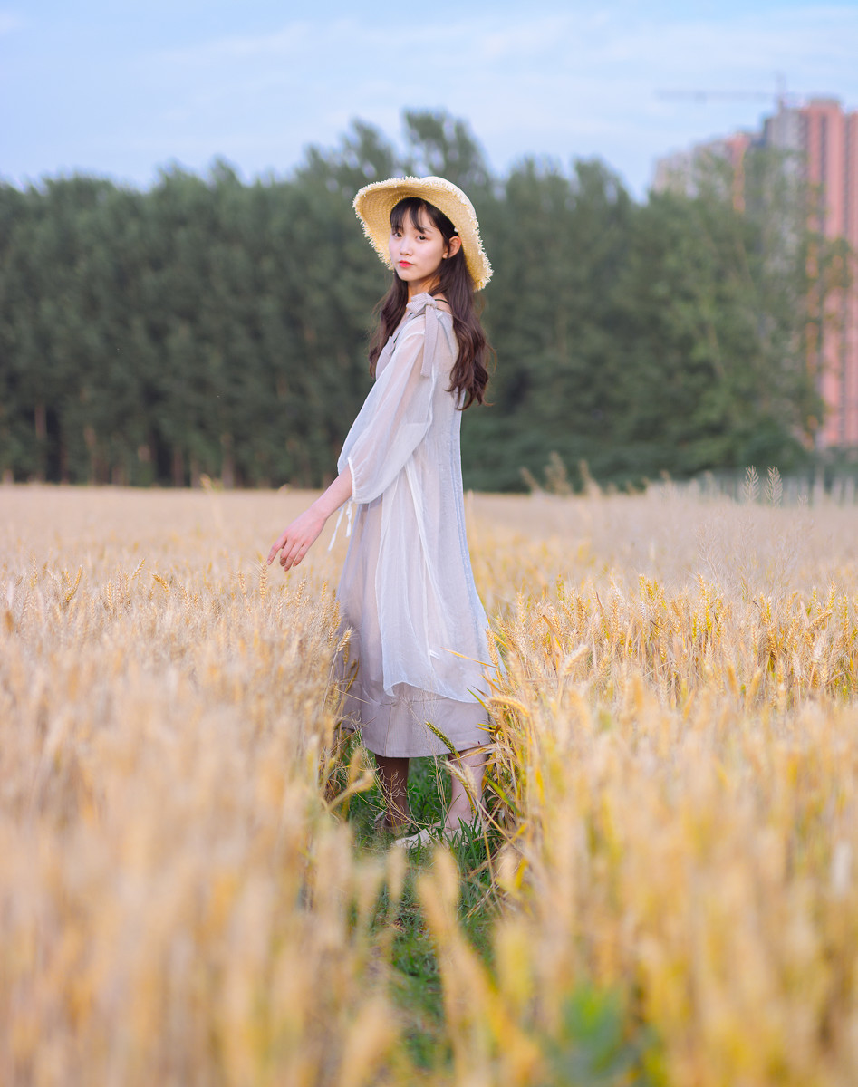 麦田里的你-六色网