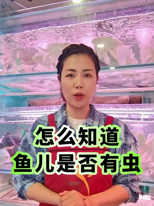 怎么知道鱼儿有没有虫！
