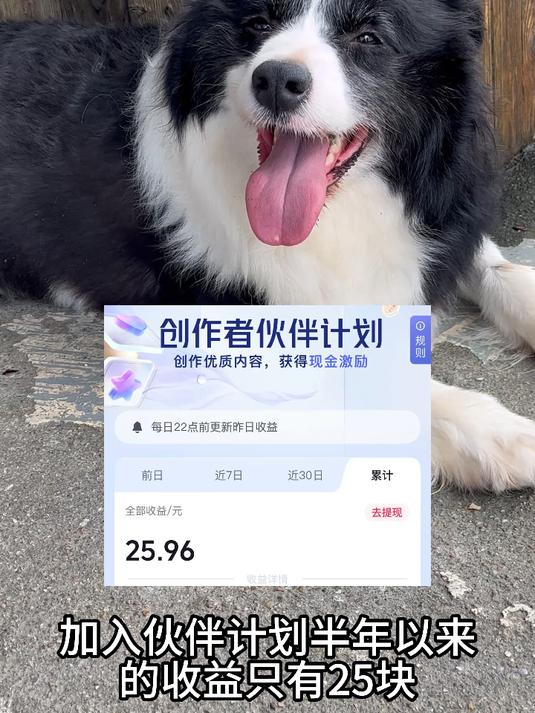 一个34万粉丝的影视博主有多少收益