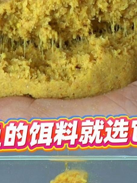 秋钓鲫鱼的饵料就选它了