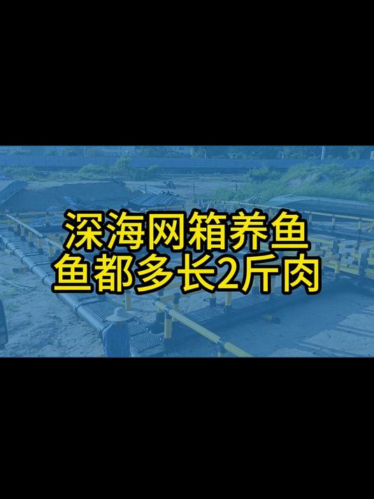 深海网箱养殖,渔获好,生长环境好,抗风浪,妥妥的盈利