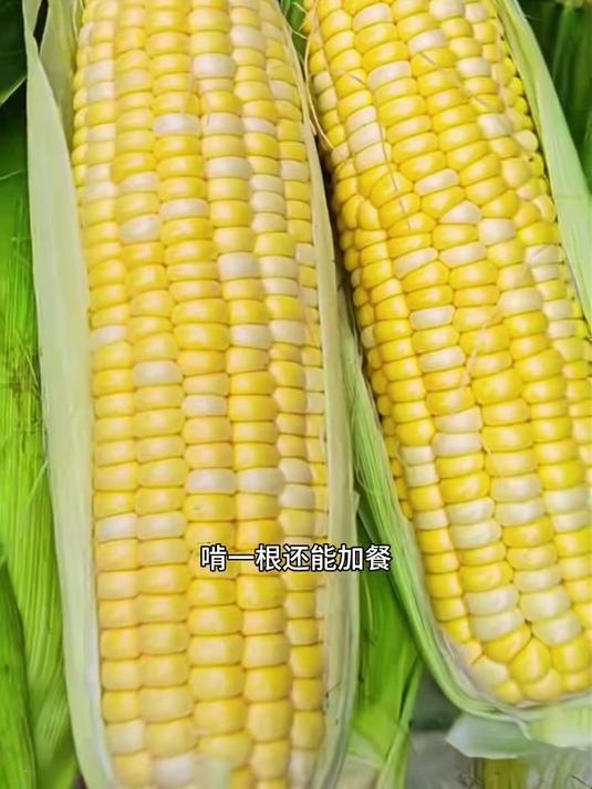 水果玉米和糯玉米你喜欢吃吃哪个呢