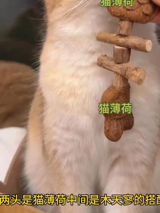 猫薄荷仿真鱼磨牙棒猫咪逗猫自嗨