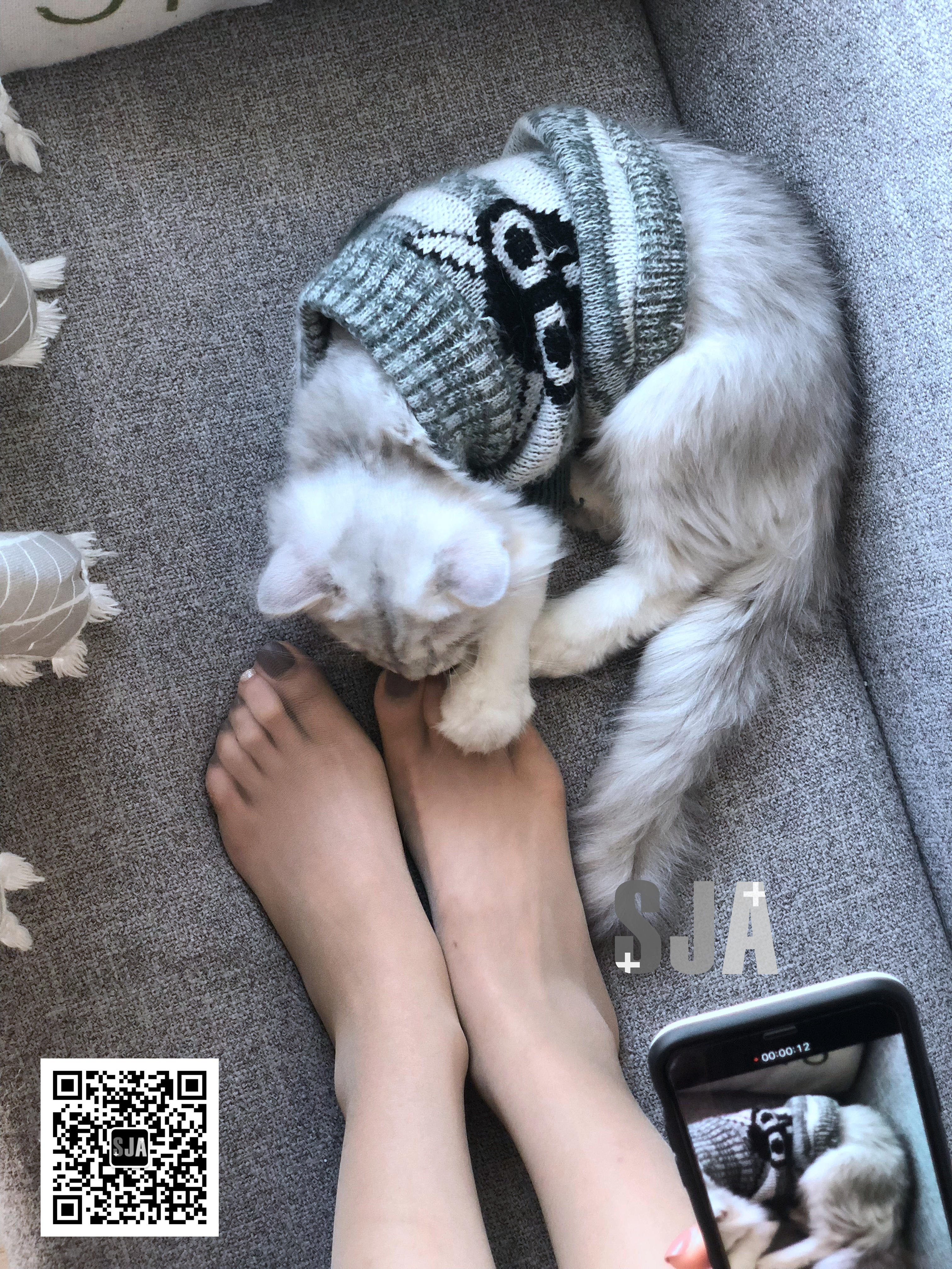 图片[18]-[SJA佳爷]闺蜜视角 NO.013 喵 [60P+81M]-六色网