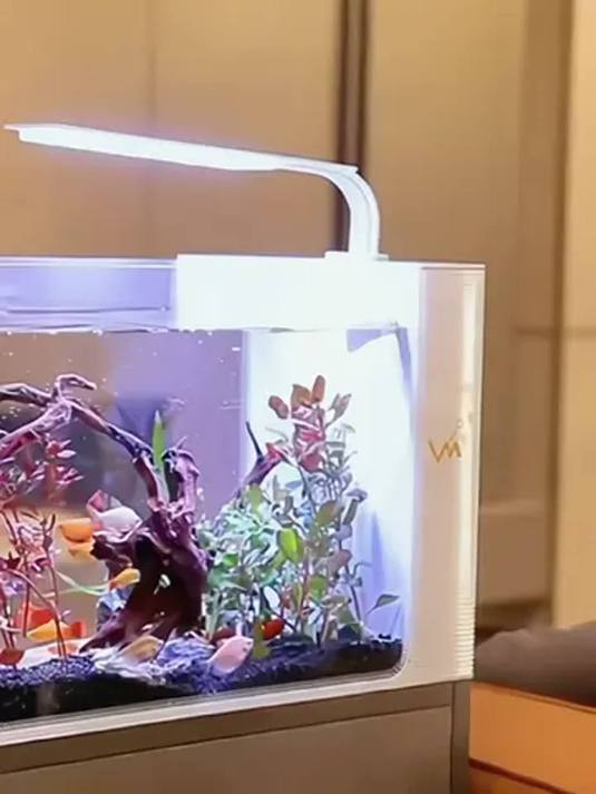 家用小型客厅超白玻璃鱼缸 自循环过滤 养啥鱼都美