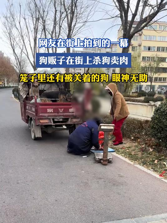 网友在街上拍到的一幕，狗贩子在街上杀狗卖肉