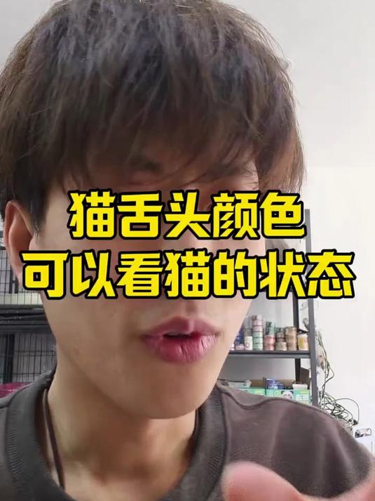 通过猫咪舌头颜色也可以分辨出状态