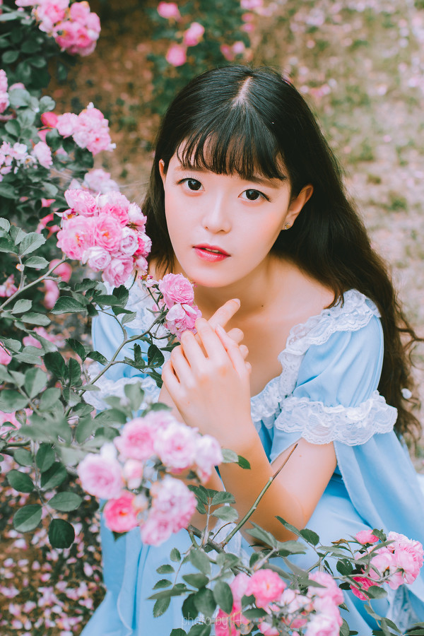 图片[4]-少女和蔷薇-六色网
