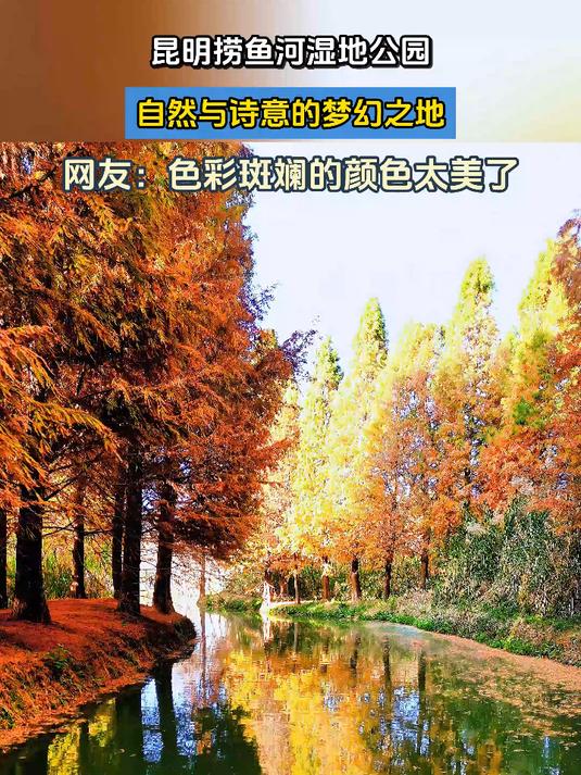 昆明捞鱼河湿地公园,自然与诗意的梦幻之地。旅游推荐
