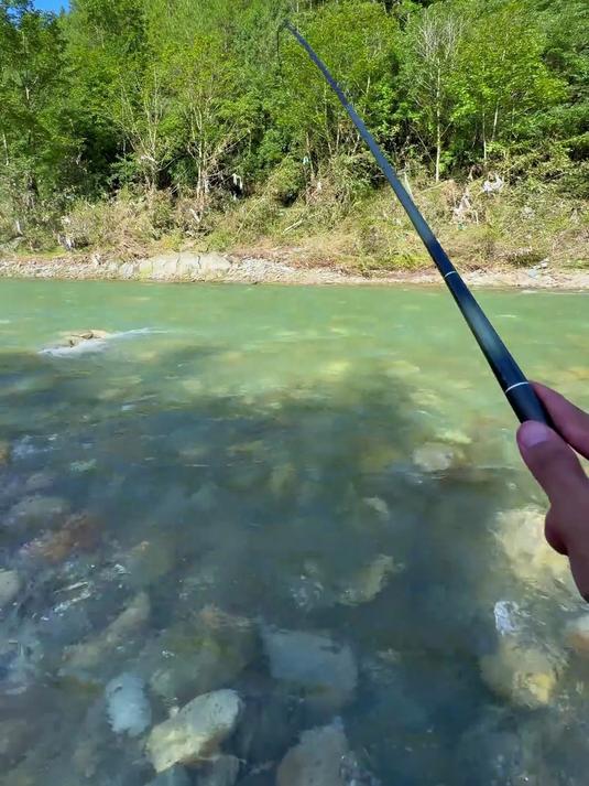 四小时十多斤苦花鱼是什么样的体验兄弟们，太爽了