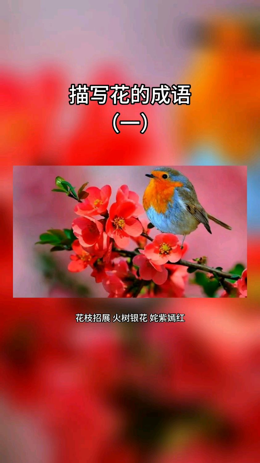描写花的成语(一)