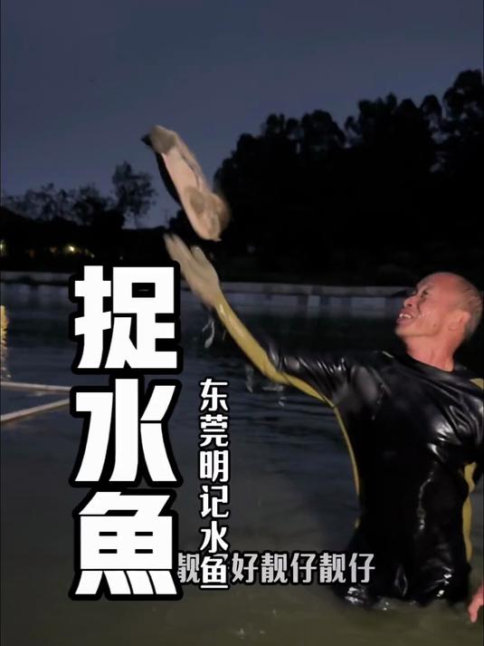 这个水鱼我愿意做 东莞寮步，东莞水鱼农庄，现捉现吃，水鱼煲鸡