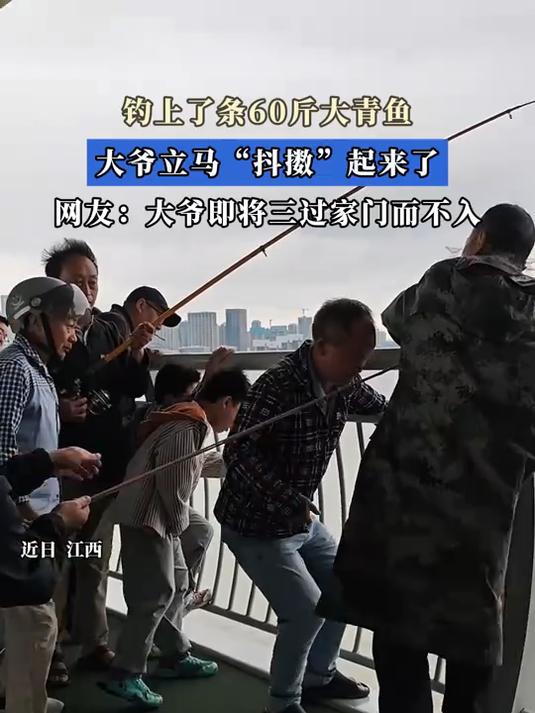 钓上了条60斤大青鱼，大爷立马“抖擞”起来了