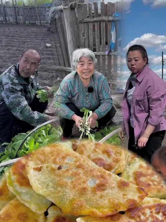 绿油油的韭菜可以割了，你们喜欢农村生活吗