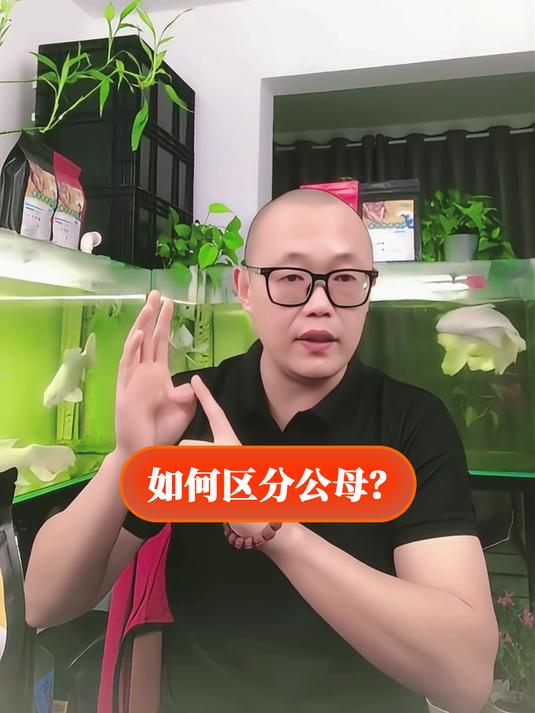 如何区分公母?