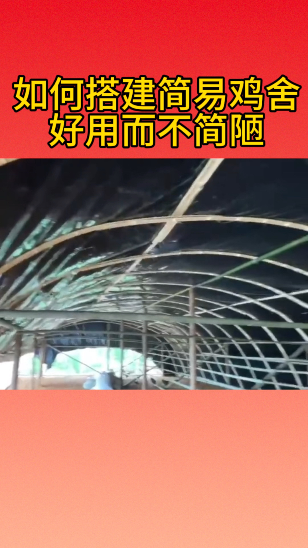 如何搭建简易鸡舍,好用而不简陋呢?可以看过来!