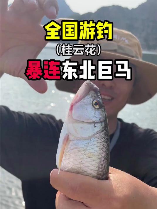 夫妻携手游钓东北小桂林,勇战全网最大马口鱼!