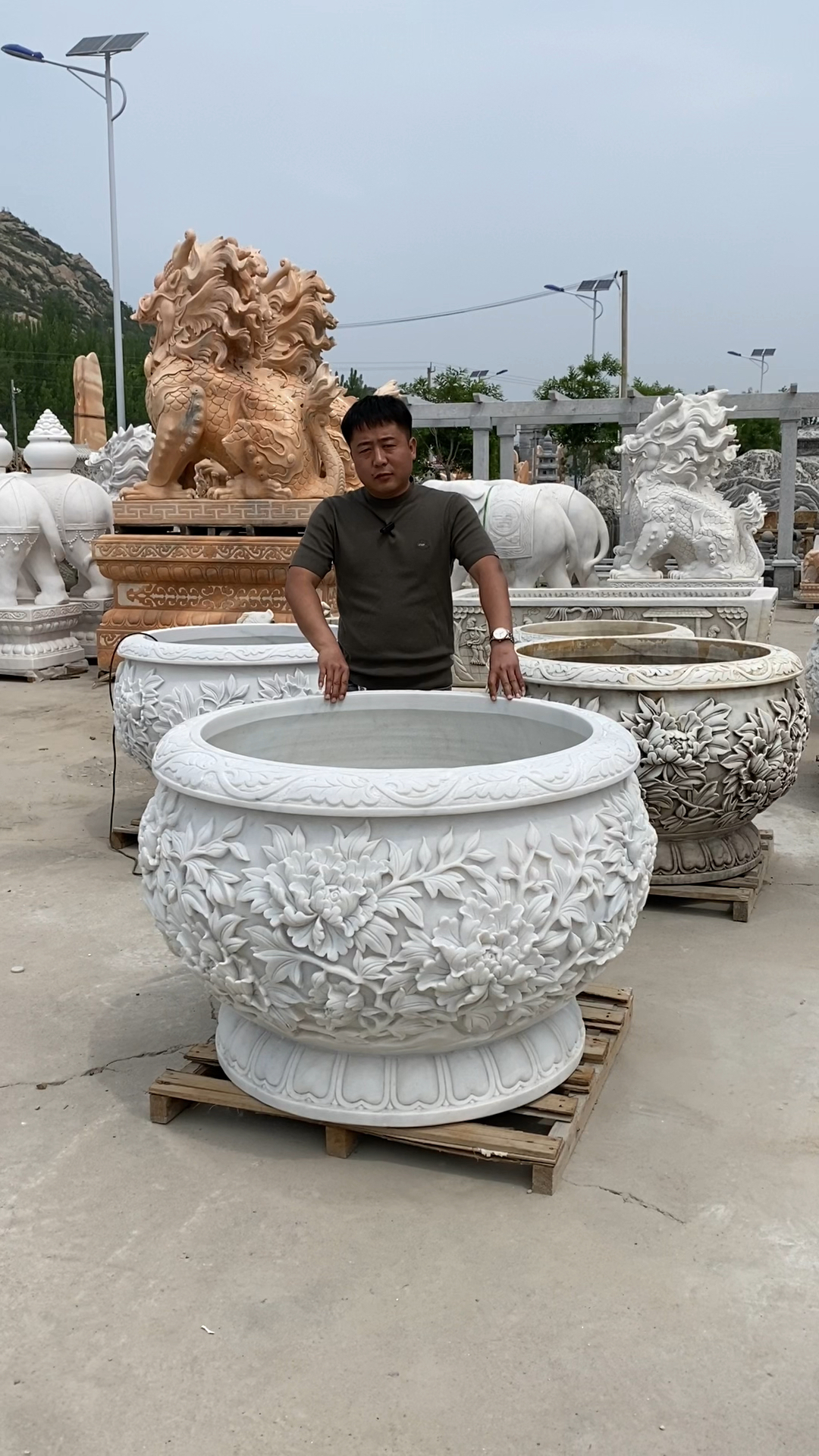石雕花盆汉白玉鱼缸石槽门海石头牡丹花养鱼缸