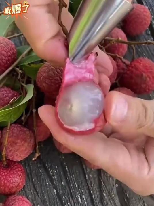 不锈钢摘菜指甲护指采摘神器指头保护套指套