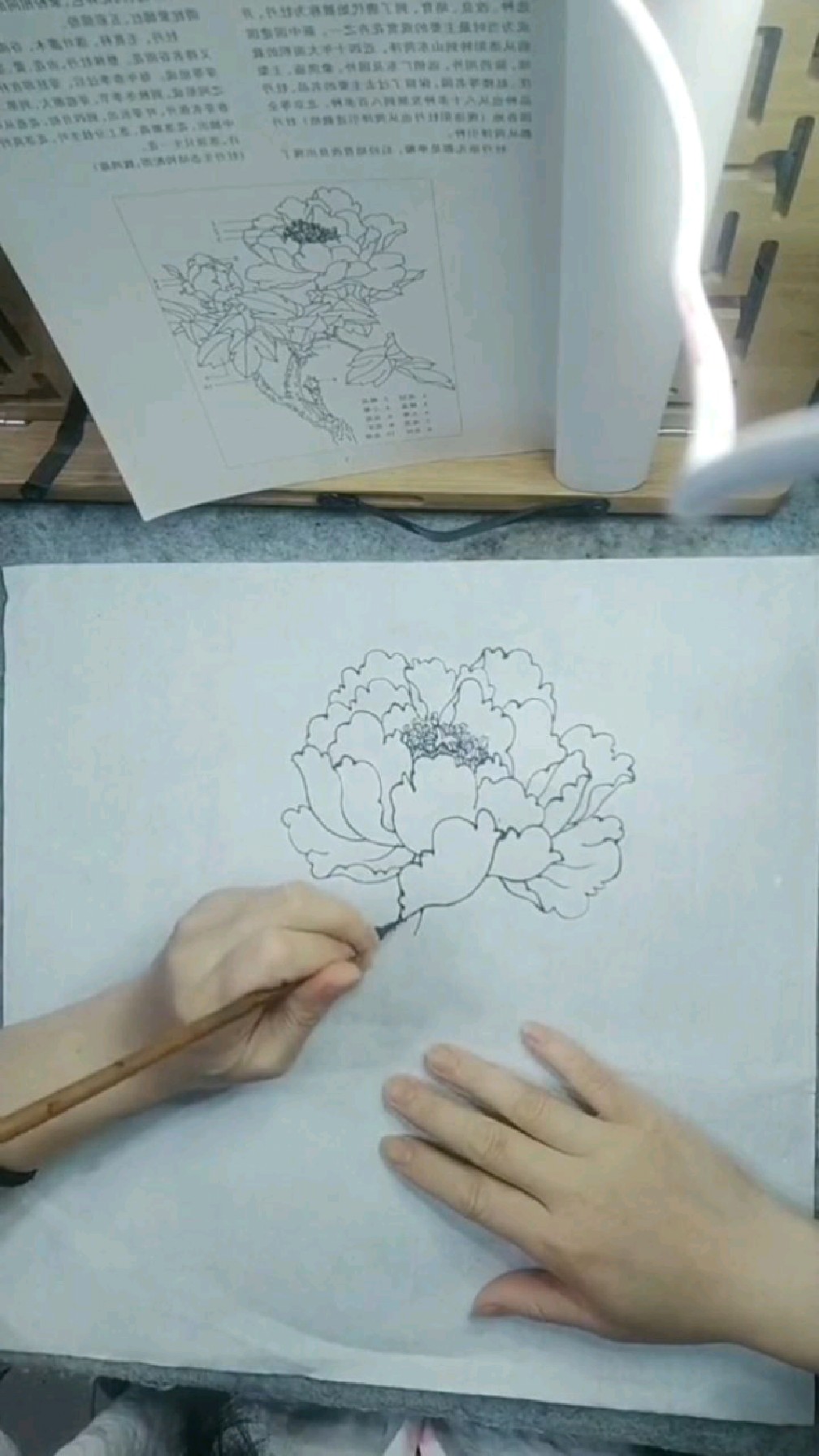 国画零基础教程:牡丹花头白描画法