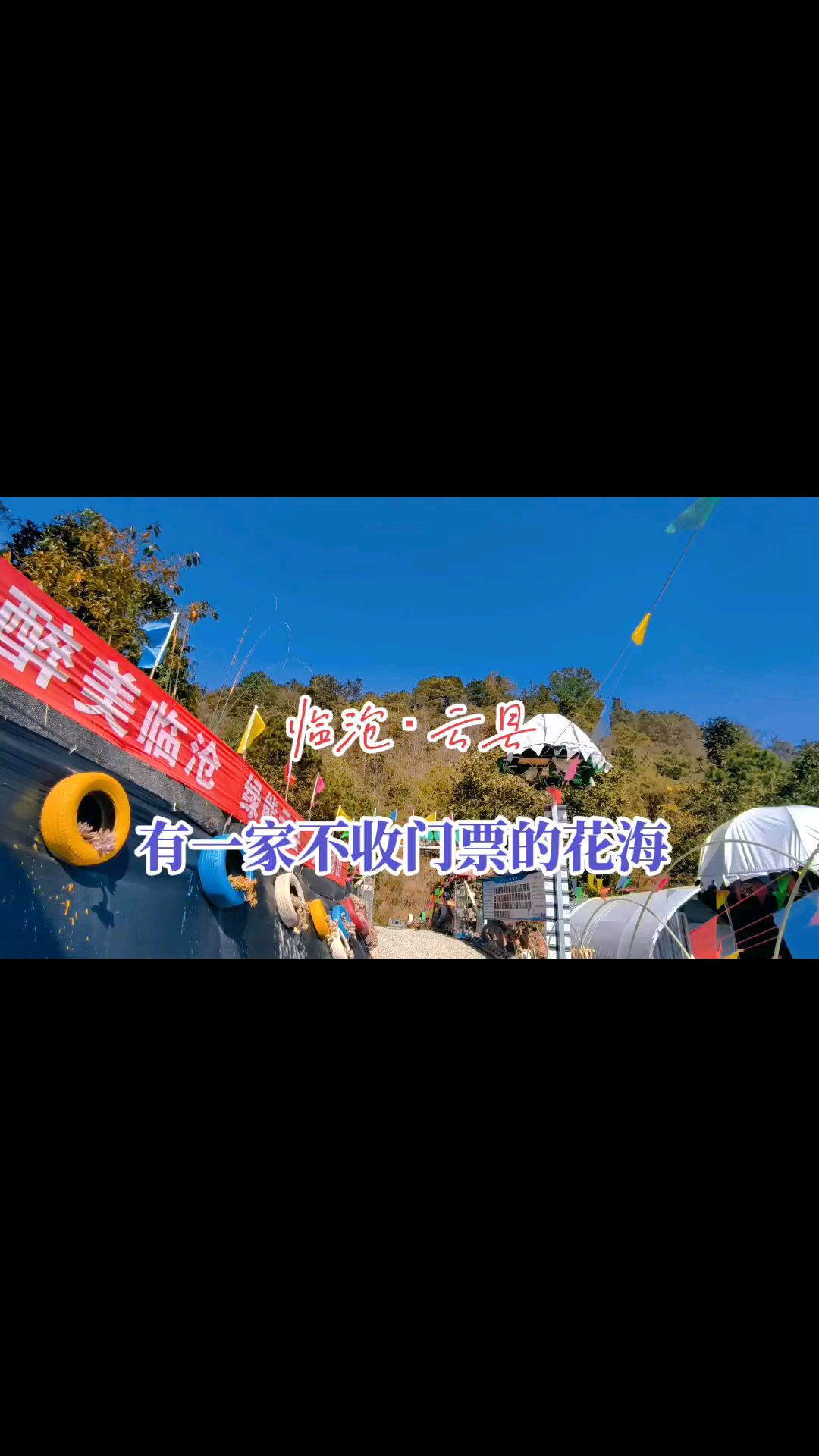 云南云县多肉种植基地,漫山遍野的多肉植物,还不收门票。