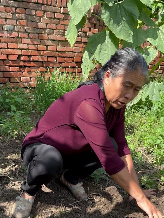 东北美食 老妈新菜系，开锅就惊喜！