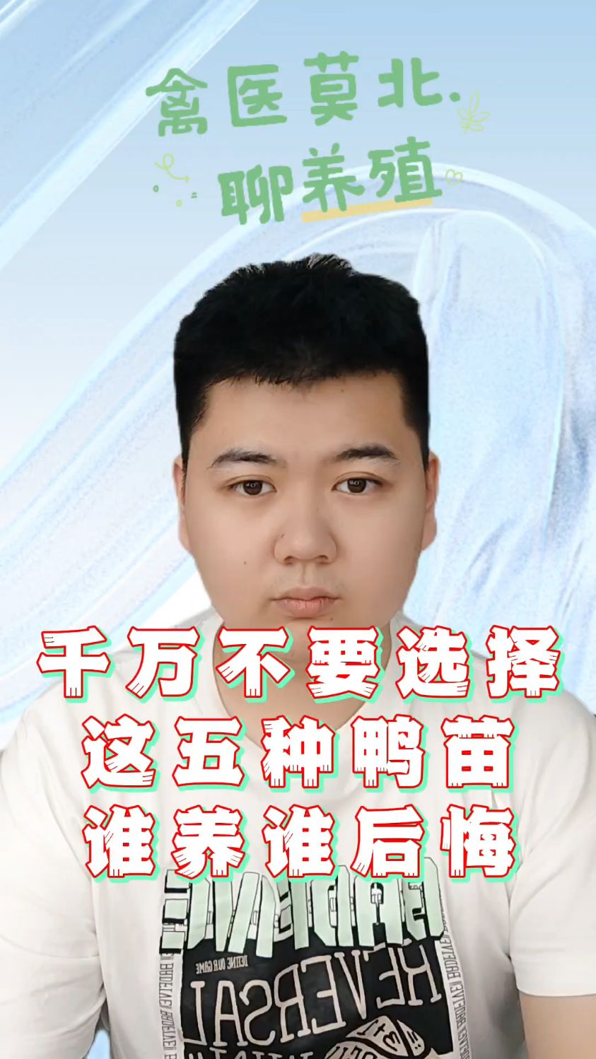怎样养鸭子成活率更高鸭子怎么养殖成活率高鸭子怎么喂成活率高小鸭子怎么养成活率高
