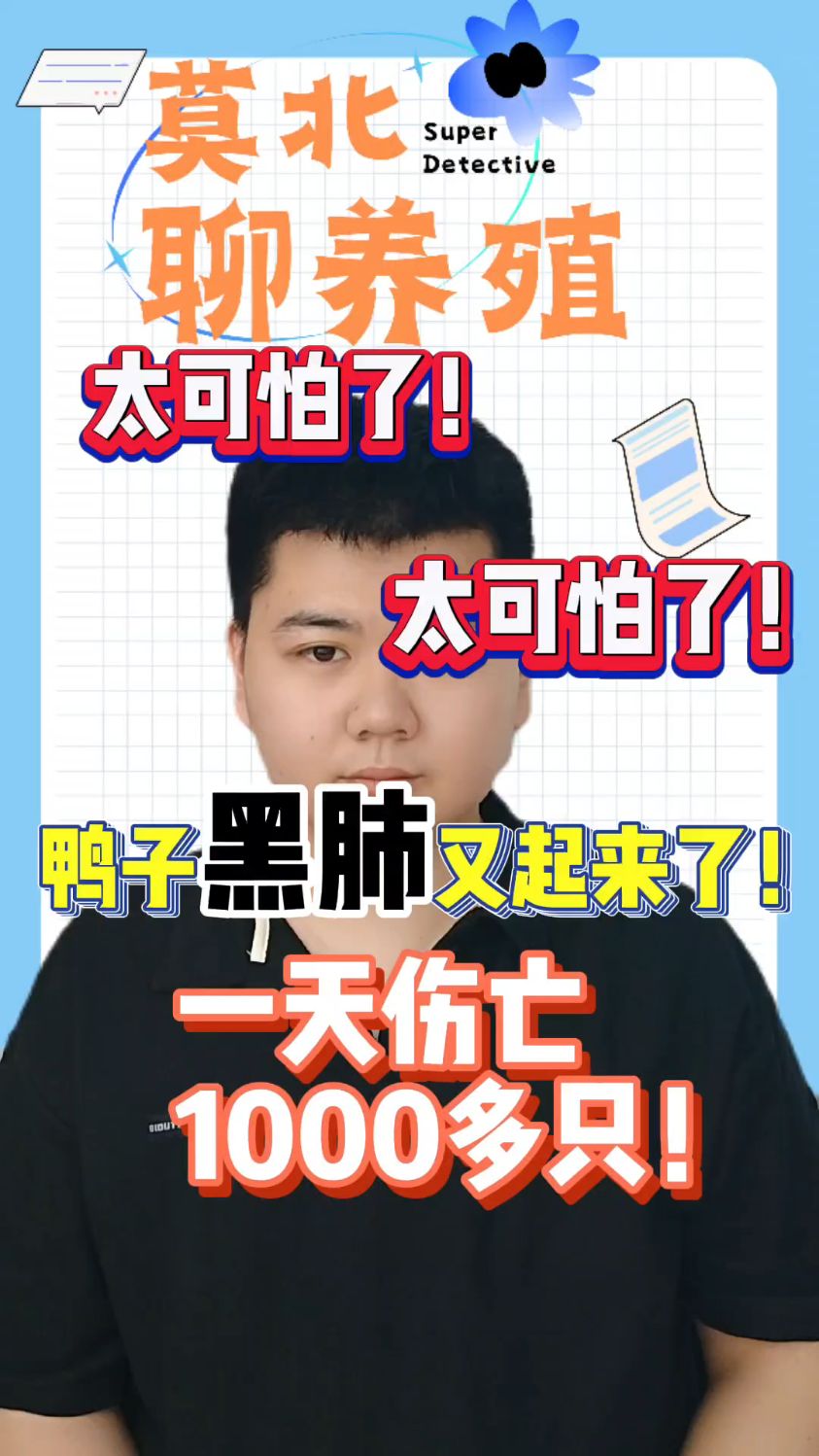 鸭子黑肺是怎么造成的鸭黑肺是怎么引起的肉鸭黑肺是什么原因肉鸭肺部发黑的原因