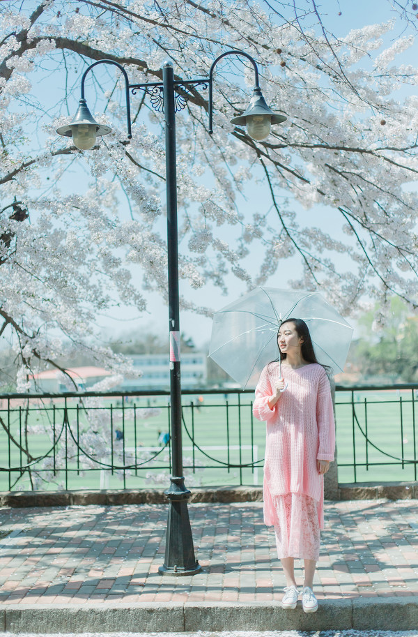 图片[11]-樱花再见-六色网