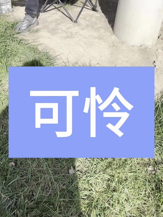 把饭留给更可怜的人