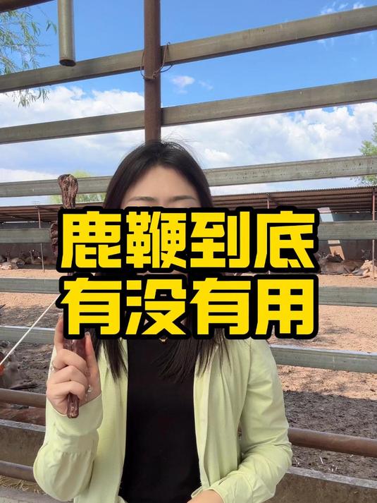鹿鞭到底有没有用