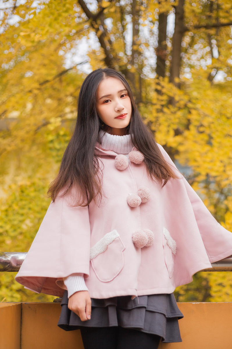 图片[10]-学校的银杏-六色网