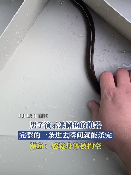 男子演示杀鳝鱼的机器，完整的一条进去瞬间就能杀完