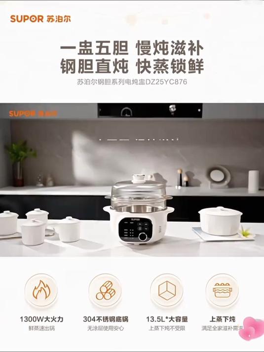 苏泊尔(SUPOR)电蒸锅 可拆洗分体式 多功能家用不锈钢电热锅 16