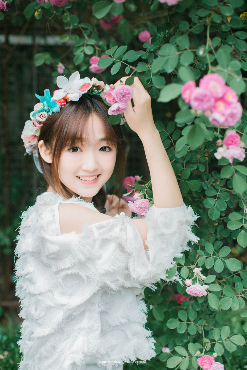 图片[3]-The rose in the wind-六色网