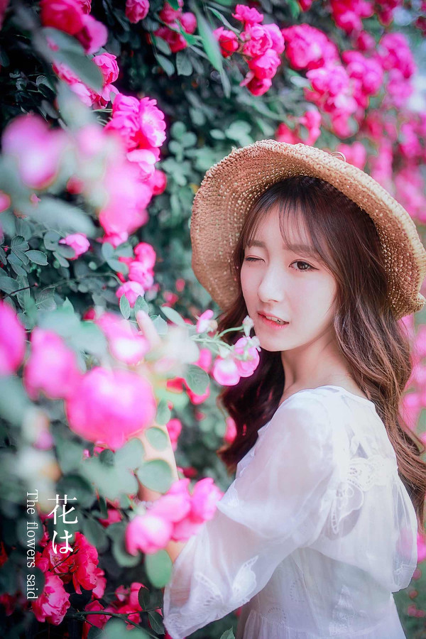 图片[12]-花儿说-六色网