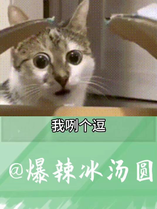 小说的小众赛道