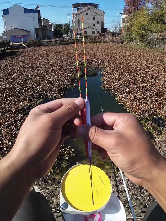 30分钟,带你了解台钓调漂的底层逻辑