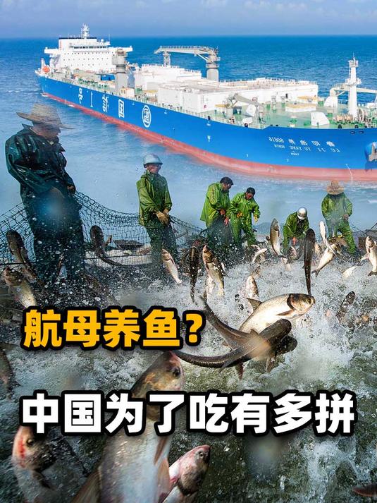 养鱼船比航母都大!中国用13万吨的“航母”养鱼,到底有多牛?