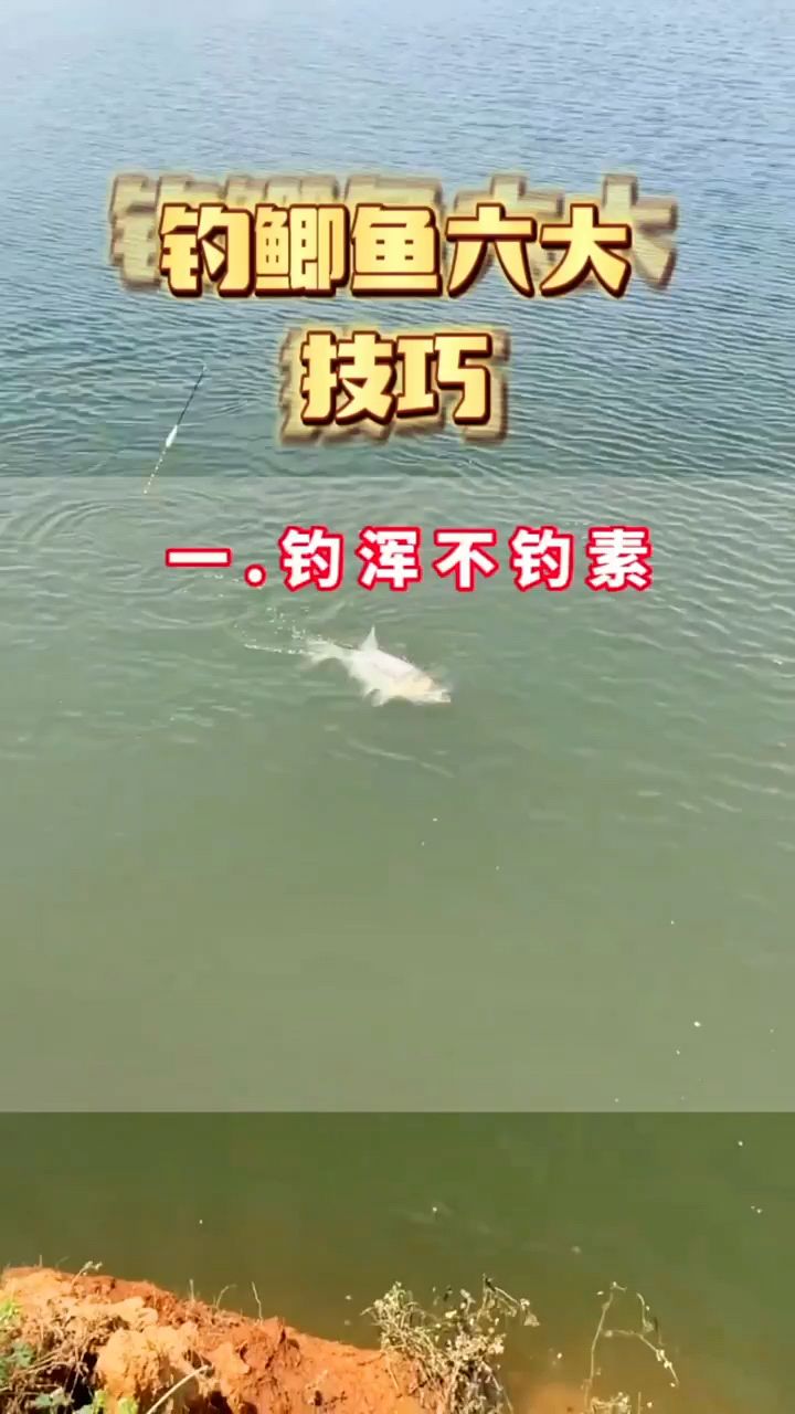 钓鲫鱼六大技巧,新手钓手必须要知道